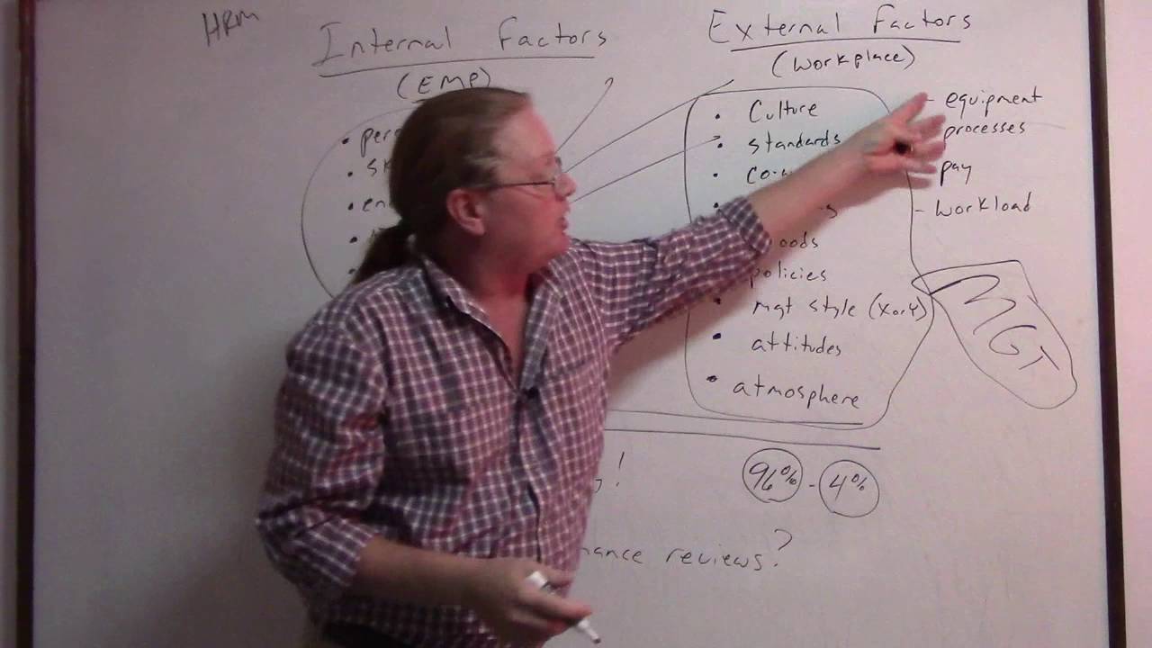MVI 0133 Internal and External Factors