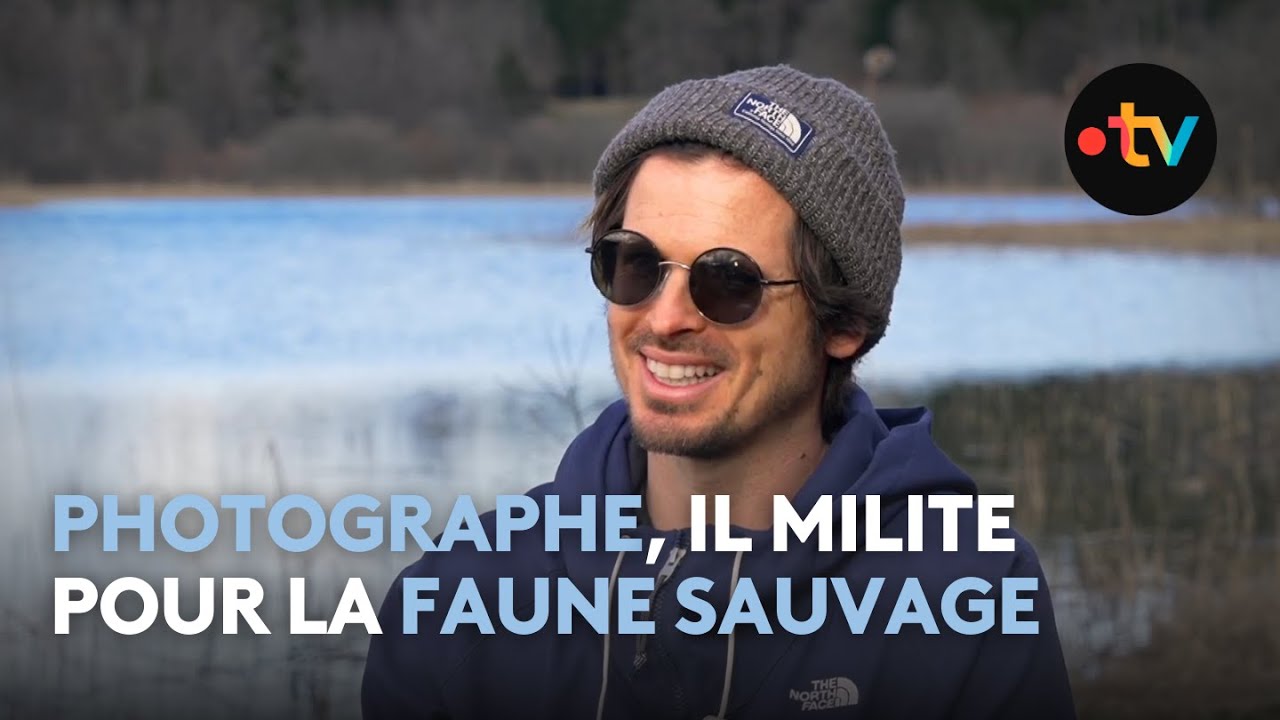 La beauté sauvage du Jura à travers l'objectif d'Adrien Favre, photographe animalier engagé