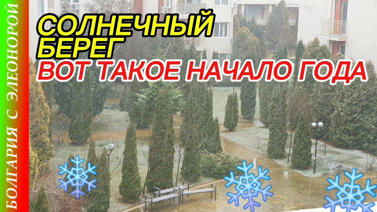 СОЛНЕЧНЫЙ БЕРЕГ ЗИМА 2025 - Это Только НАЧАЛО ГОДА.