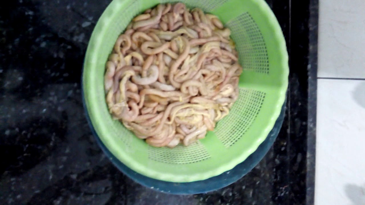 Tripa de frango desidratada