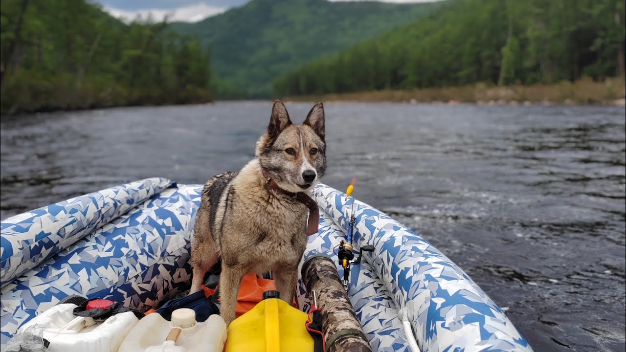 Коротко о рыбалке в южной Якутии. 