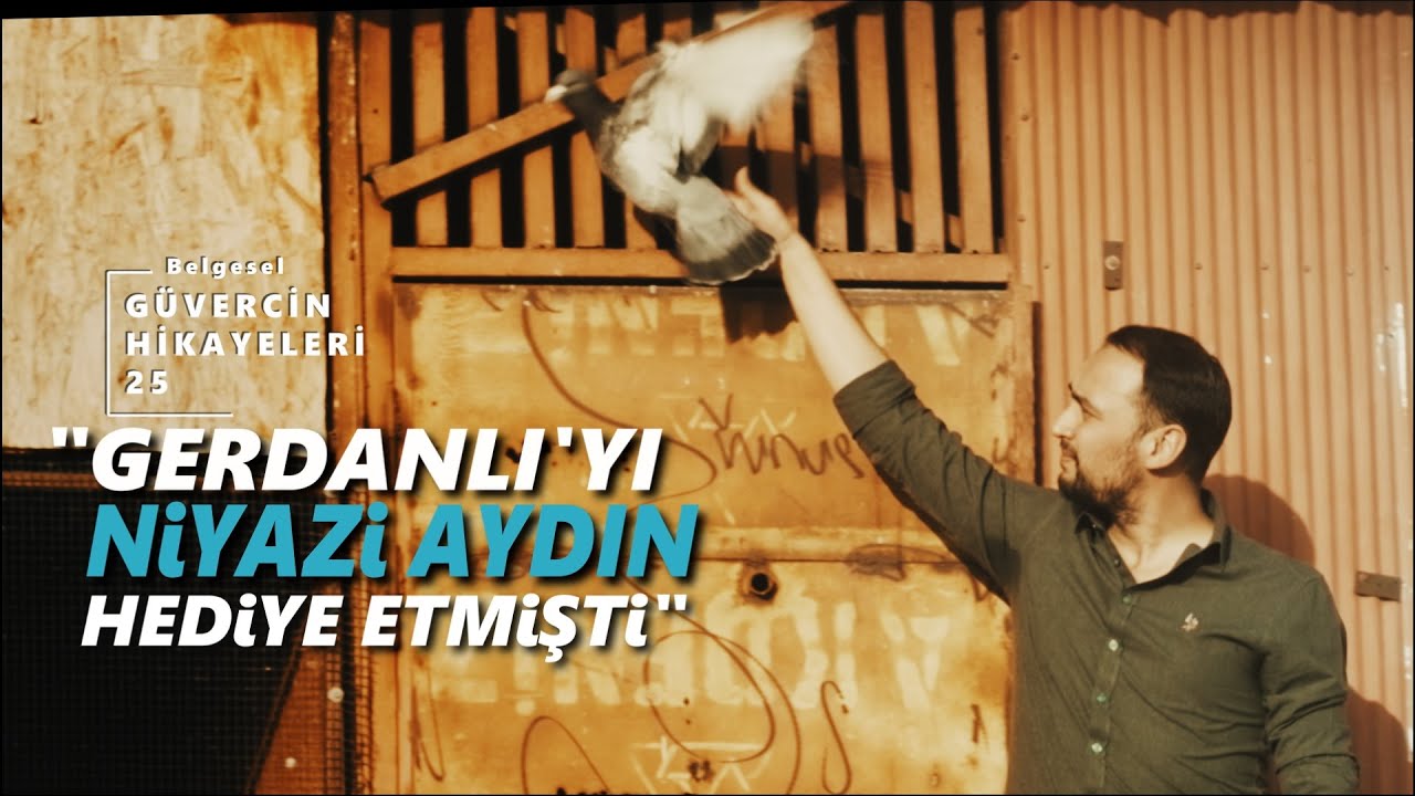 Güvercin Hikayeleri Belgesel Dizisi 25. Bölüm | Ali Nacar | Adana Güvercini | Niyazi Aydın Hediyesi