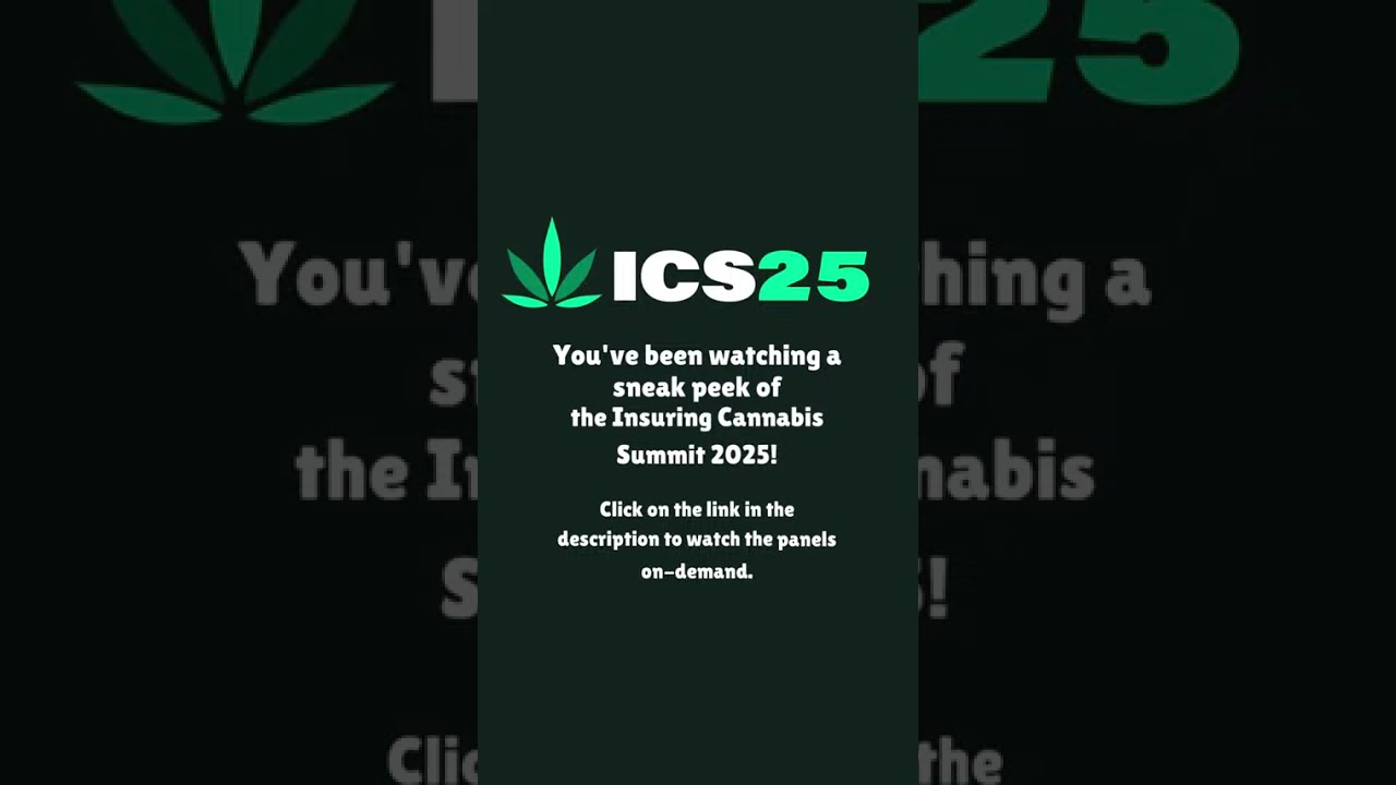 Regulated Cannabis vs. Hemp THC Drinks | Insuring Cannabis Summit 2025