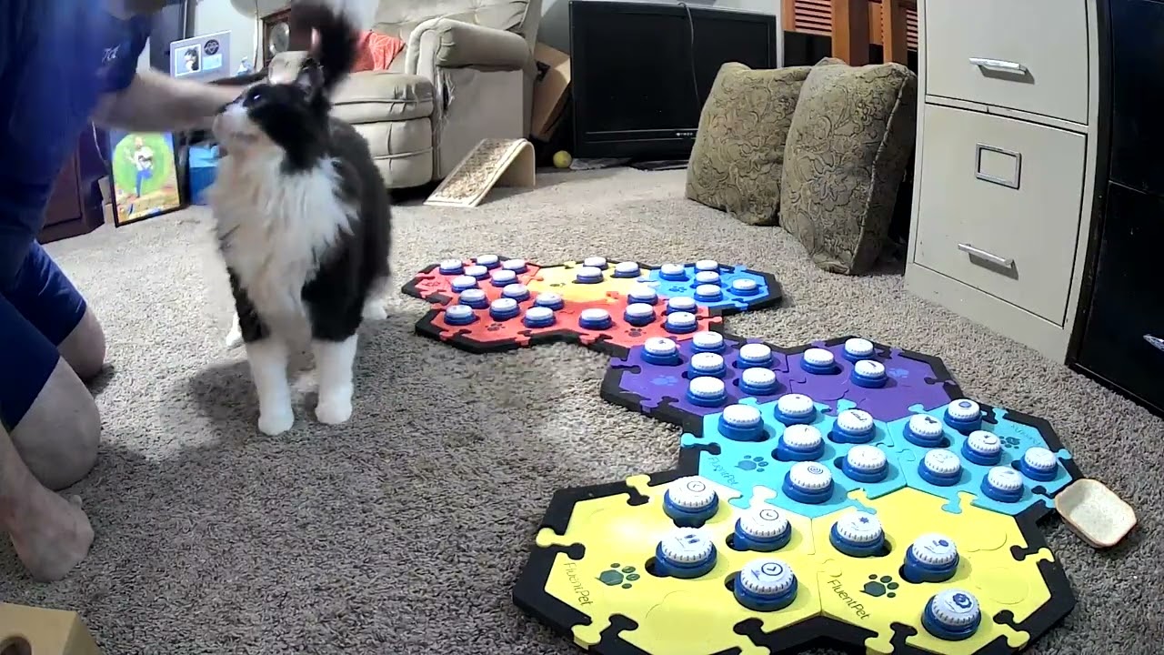 Buttons Let Todd Tell Me When He Hurts *AND* When He Feels Better