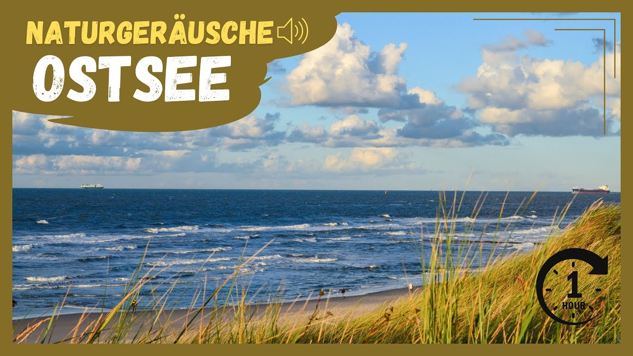 Naturgeräusche | Ostsee 🌊