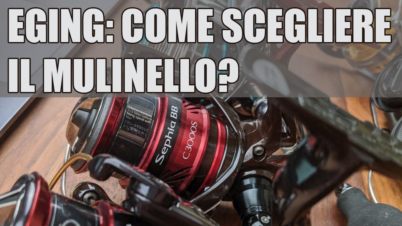 🌊SELEZIONE MULINELLI DA EGING: Come scegliere un mulinello per la pesca al calamaro o seppia?