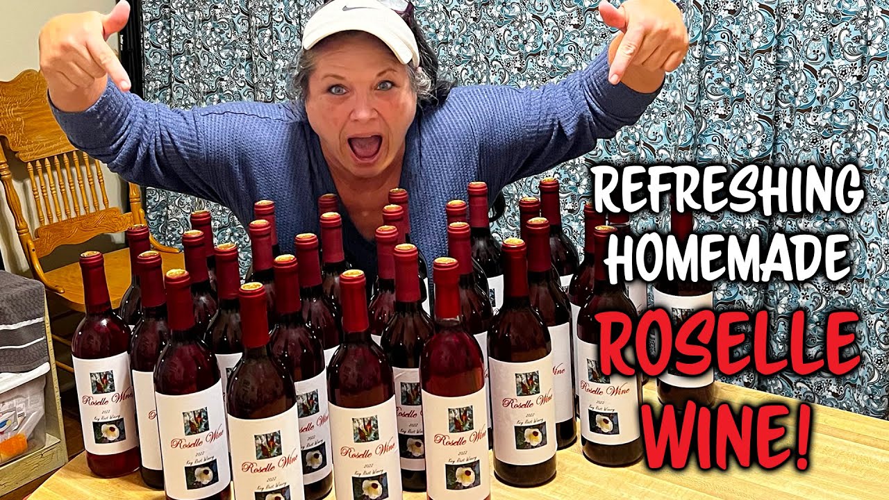 Let's Make Wine | Fermented February | #fermentedfebruary2023