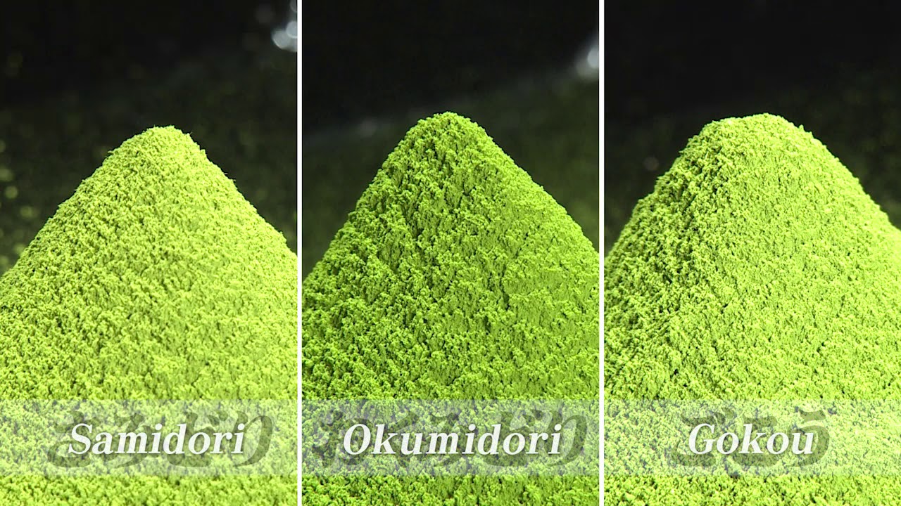 Producing our Matcha!
