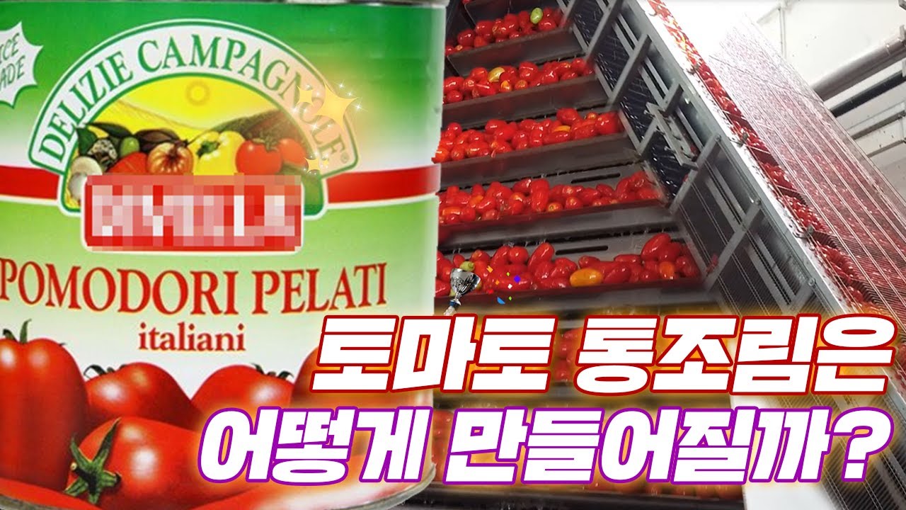 우리가 먹는 토마토소스의 원천 토마토 통조림 어떻게 만들어 질까? /How to make Canned Tomato in Italy