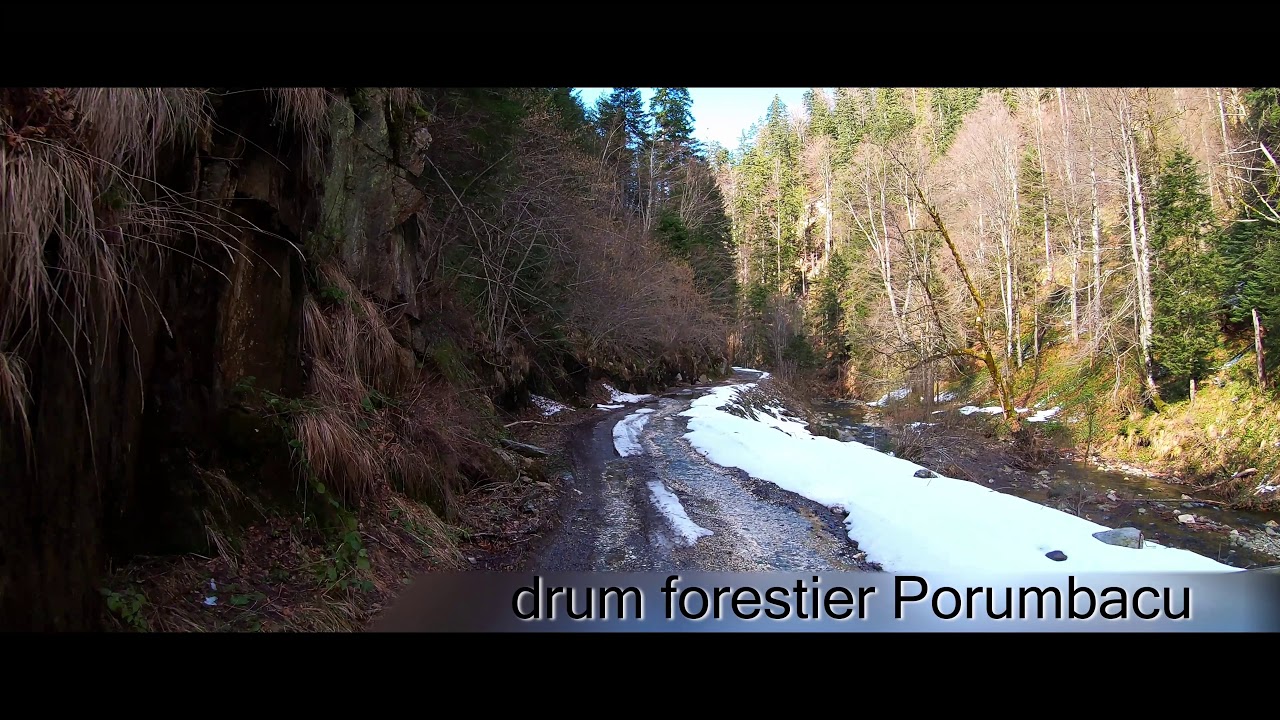 DrumForestier Porumbacu