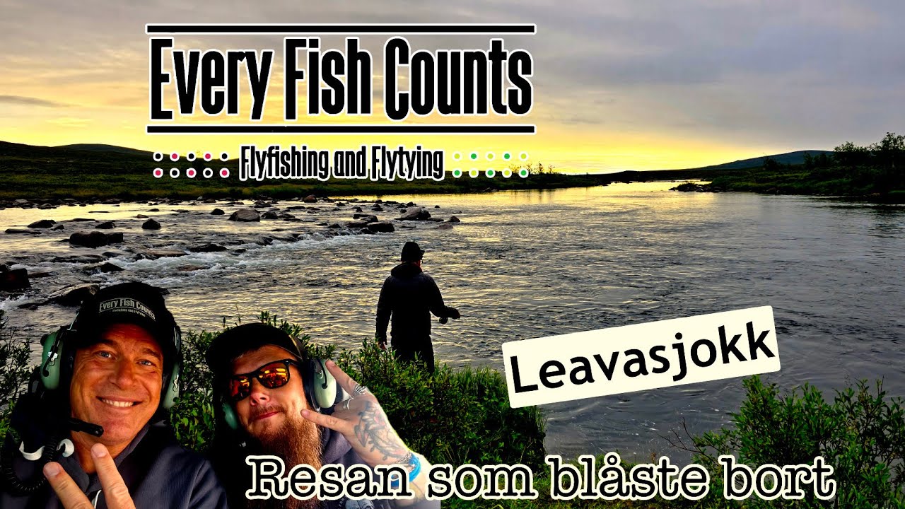 Resan som blåste bort - Leavasjokk - Flugfiske - Fjällen