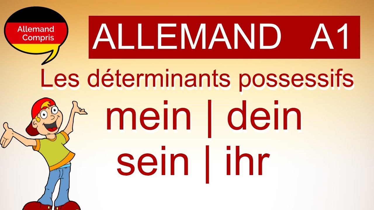 🇩🇪  mein , dein, sein | Les déterminants possessifs en allemand