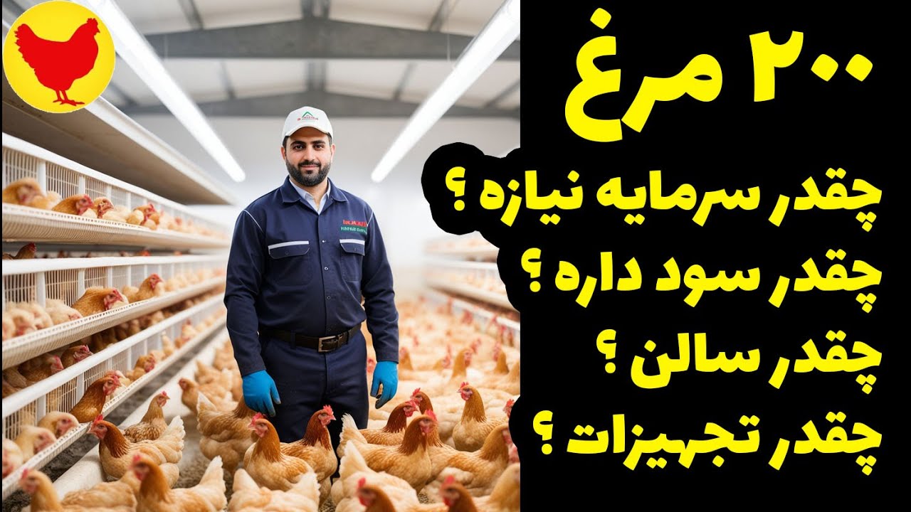 پرورش 200 مرغ تخمگذار چقدر سرمایه نیازه ؟چقدر سود داره ؟چقدر سالن ؟چقدر تجهیزات ؟