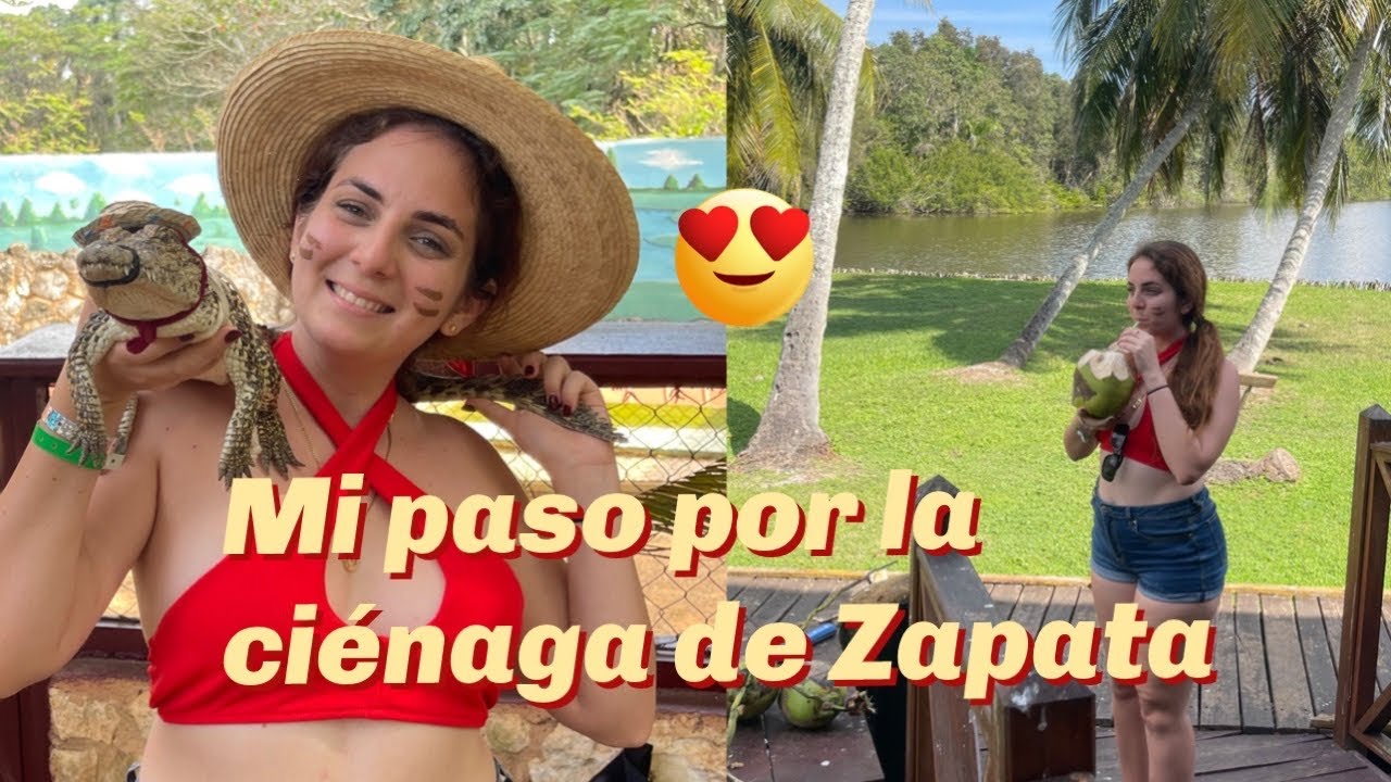 Mi paso por la Ciénaga de Zapata 🥰 , aldea taína Guamá , le doy comida a los cocodrilos 😱