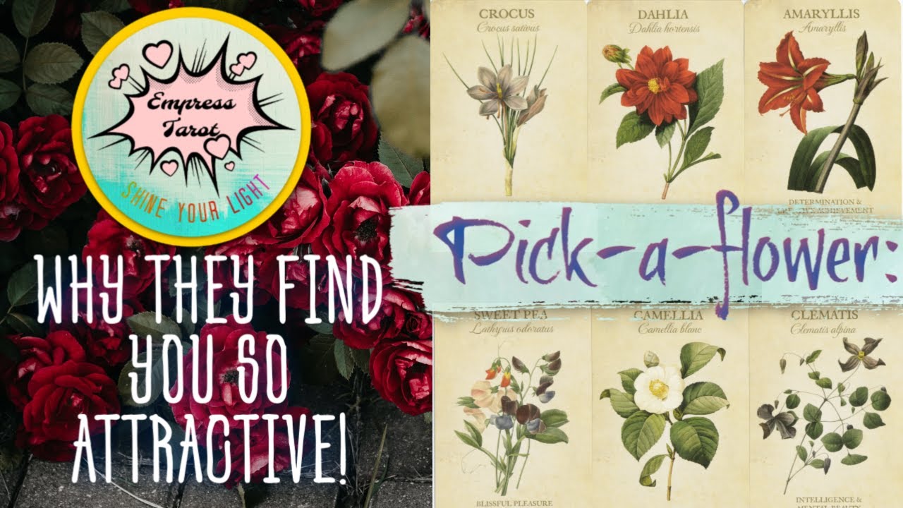Pick-a-flower:🌺 Why They Find You Attractive & How They View Your Situation!