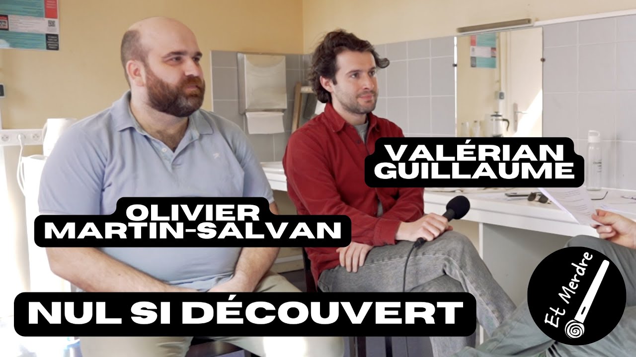 Us et abus de langage - Val&eacute;rian Guillaume et Olivier Martin-Salvan