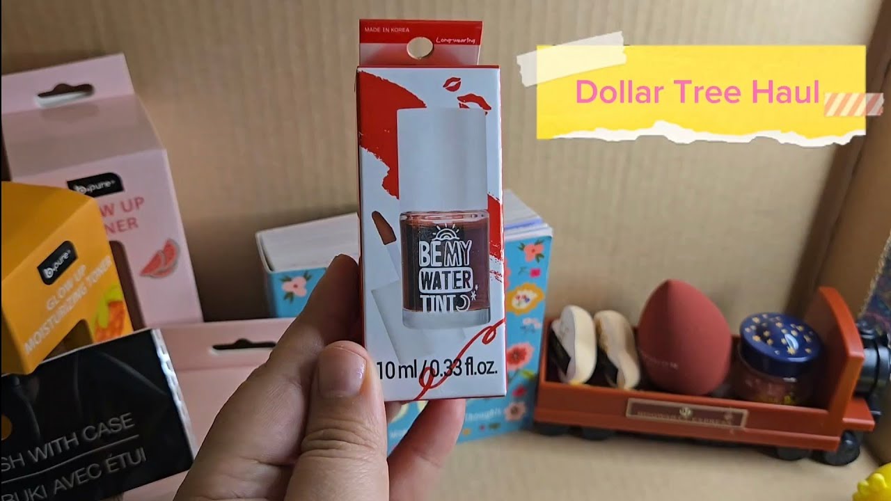 Dollar Tree Haul 2026