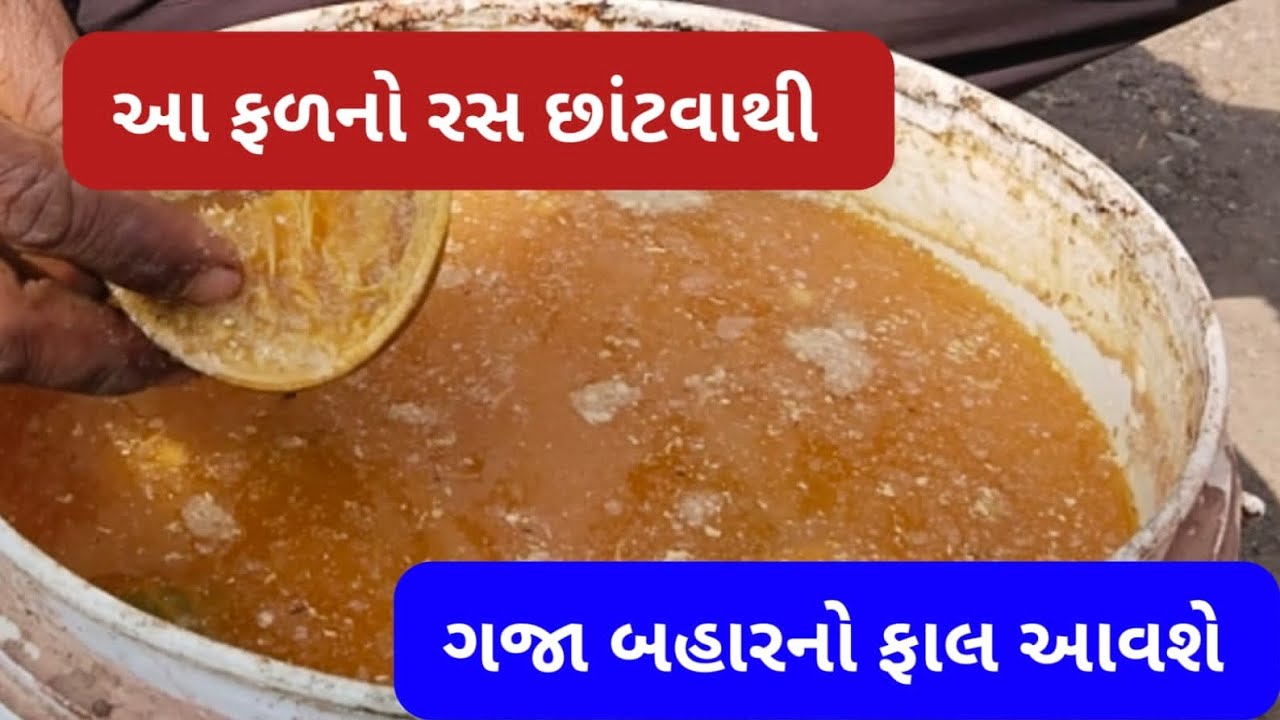 આ ફળના રસ છાંટવાથી | ગજા બહારનો ફાલ આવશે | khedutnikheti |