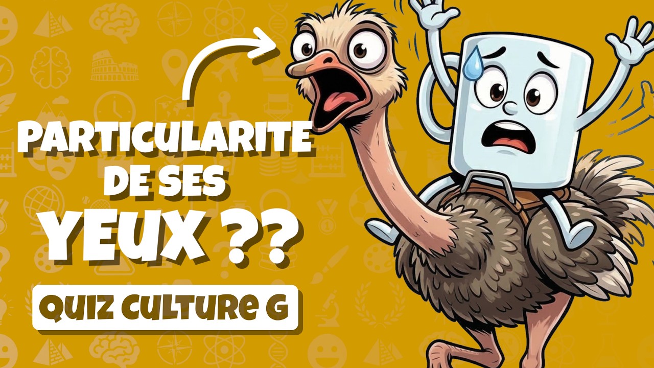 QUIZ CULTURE GÉNÉRALE ✨ Accroche-toi pour le sans faute 🥵