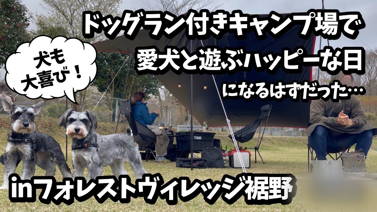 【犬連れキャンプ@フォレストヴィレッジ裾野】ミニチュアシュナウザーとドッグランのあるキャンプ場で外遊び 