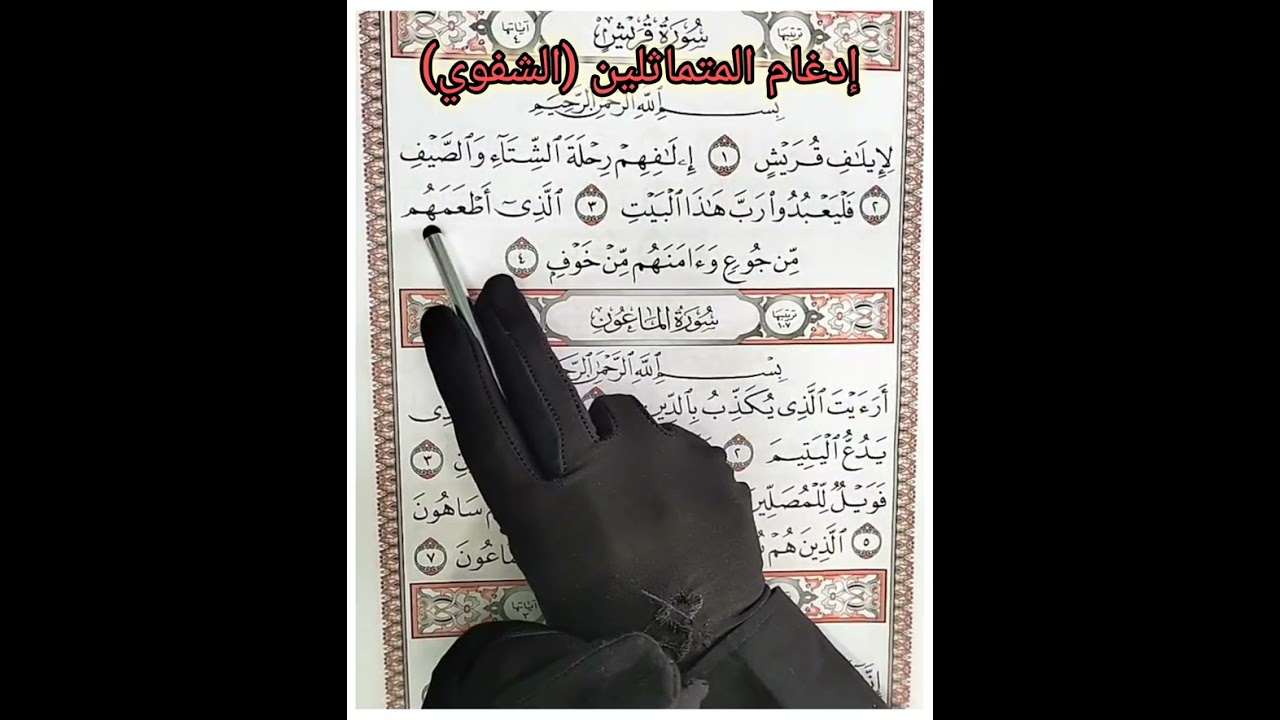 أحكام الميم الساكنة ✨ أول حكم وهو الإدغام المتماثلين #أنوار التجويد 🕊️🌿📖