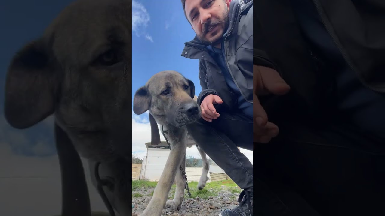 Emre Duman kanalı canlı yayında