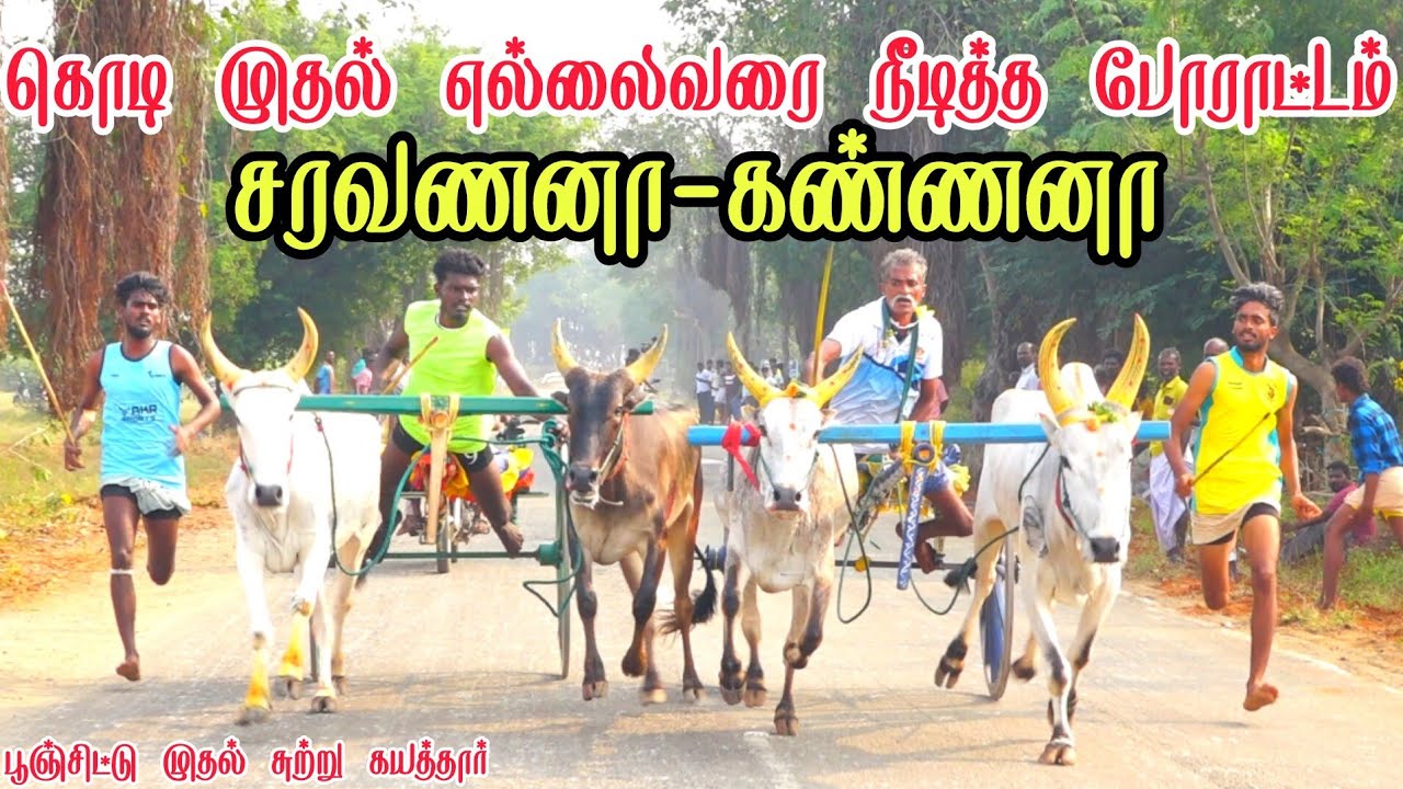 கயத்தார் பூஞ்சிட்டு முதல் சுற்று 28-02-2026