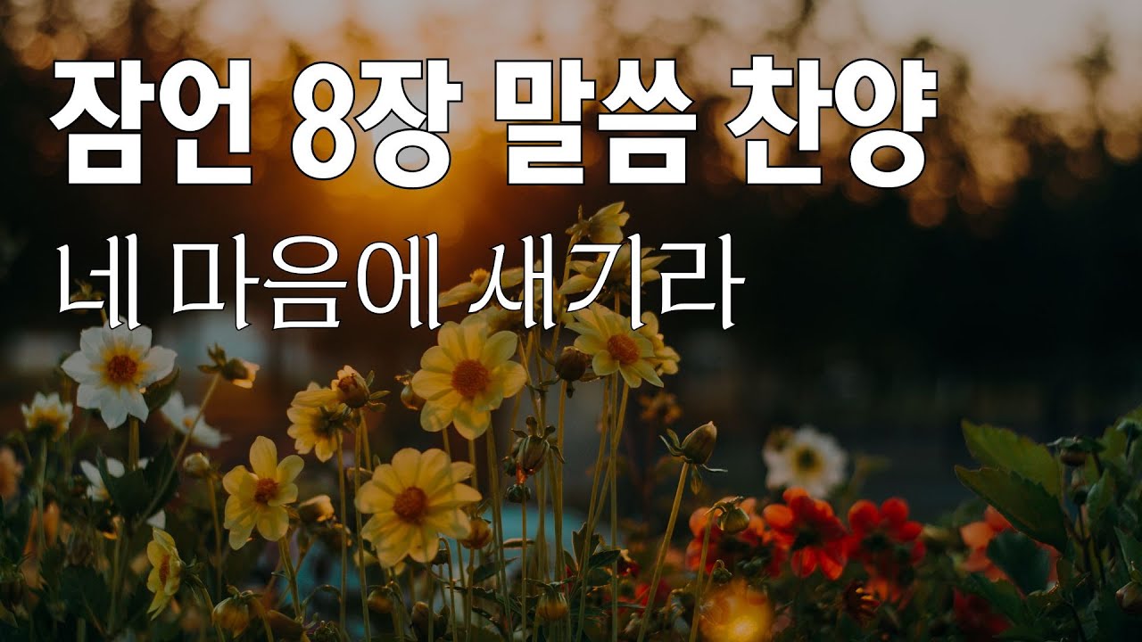 말씀찬양 - 잠언 8장 [ 네 마음에 새기라] 기도,묵상,일상,예배,은혜 | 성경 말씀으로 오늘도 지혜를 얻습니다 🎻