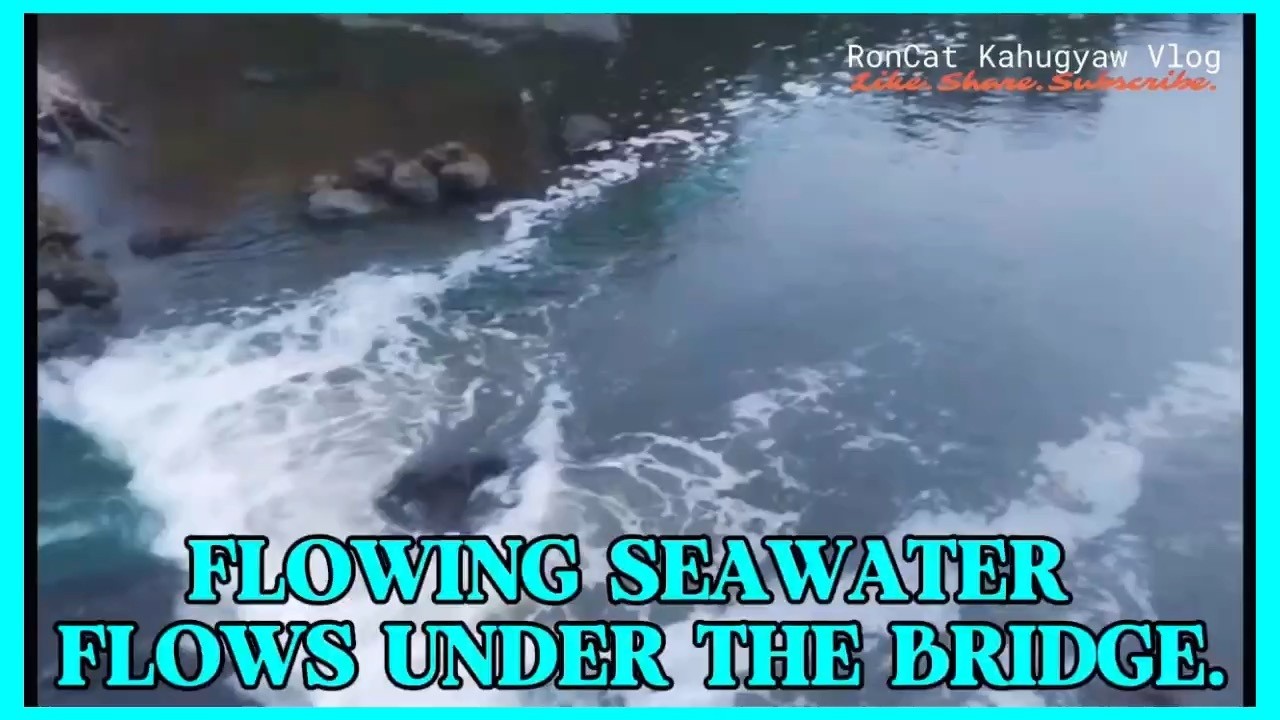 Stunning View Of Flowing Water Under The Bridge.#interestingfacts #bridge #subscribe