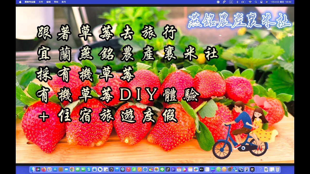跟著草莓去旅行🍓宜蘭五結採草莓燕銘農場襄米社~ 草莓季開始了