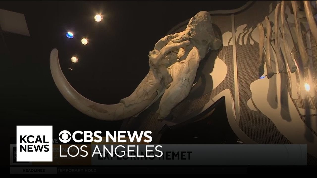 Exploring Hemet: SoCal Spotlight