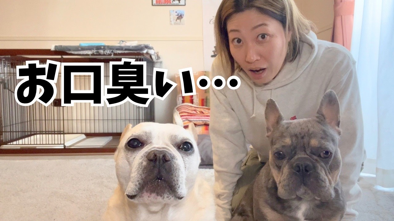 【topet】のお口のふりかけパパに内緒で使ってみた！口臭無くなるか検証したら驚きの結果に！！