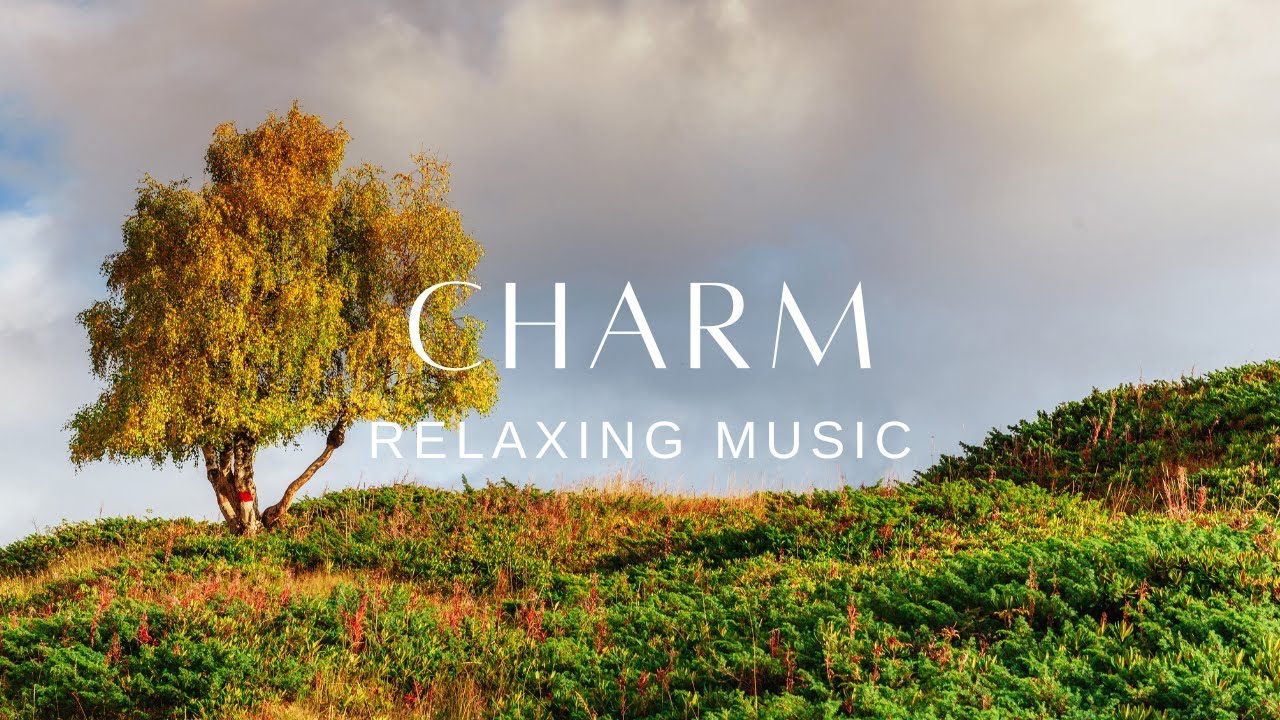Peaceful Relaxing Guitar Music | Work Study Focus | Charm