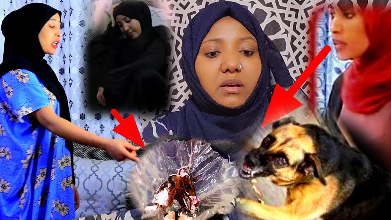 🛑😭Zaalikaa fi Magartun karaa ani ofiraa shakinen nattii dhufani. Lubbuu koo na baasuufi saree najisa
