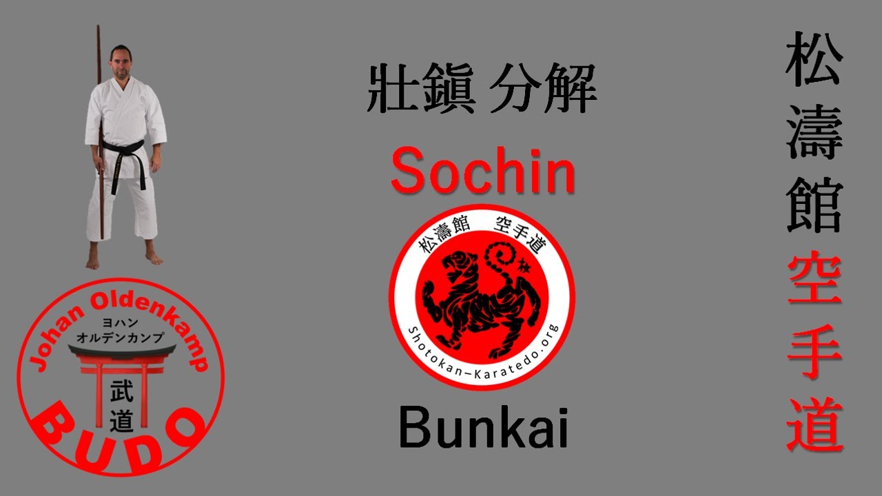 Sochin Bunkai | 壯鎭 分解