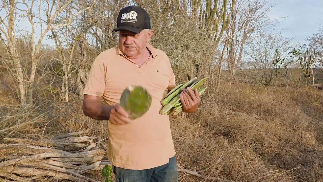 Plantando a palma mão de moça e conversando com os seguidores 