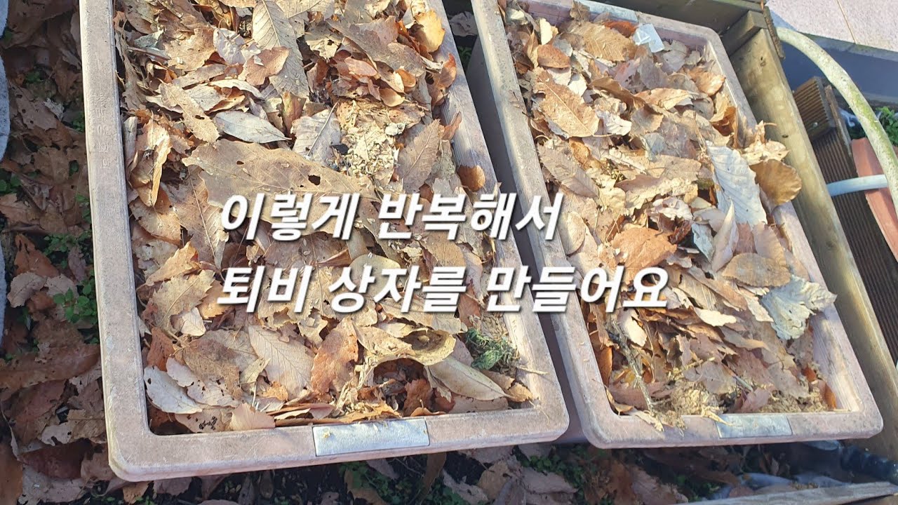 텃밭상자에 음식물 퇴비 만들기#퍼머컬처 #왕겨#미강#낙엽멀칭#옥상텃밭#다가구주택