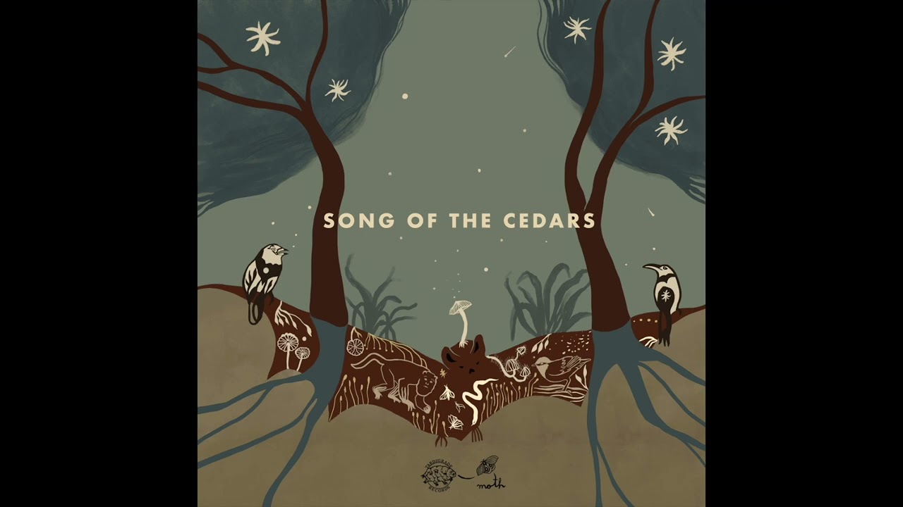 Los Cedros Cloud Forest, Cosmo Sheldrake, Robert Macfarlane - Song of the Cedars