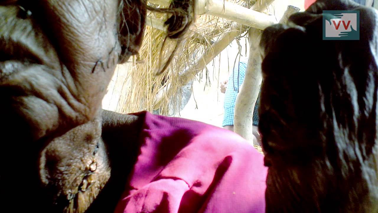 Brutal Violence Towards Women in Kako, Bihar - Video Volunteer Asha Devi Reports