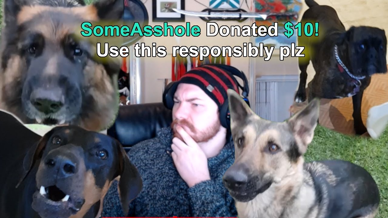 Hi my name is Roze and I spend your stream donations responsibly.
