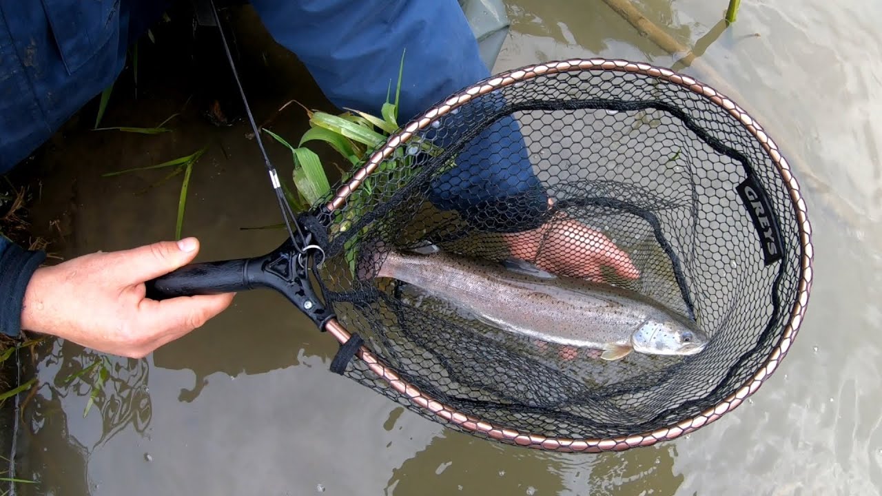 Как ловить форель | Прекрасный лосось дунайский - король рек (danube salmon, huchen, hucho hucho)