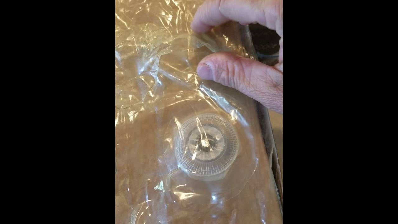 Bladder repair