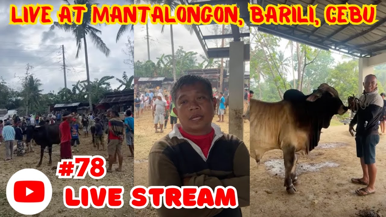 Solle's Gandang Buhay is live! @Mantalongon, Barili, Cebu😍