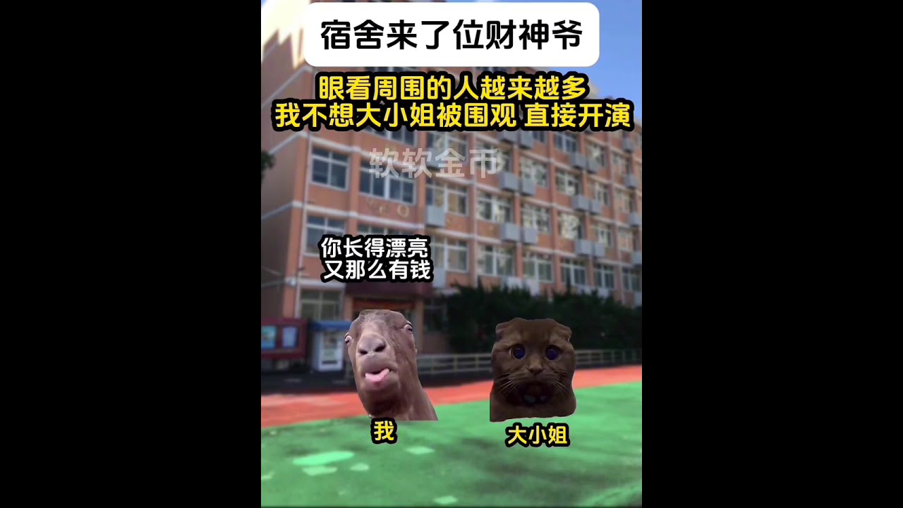 第1-18集 | 宿舍来了个财神爷.#catmemes #cat #小说 #故事 #短剧 #story #悬疑 #推文 #一口气看完 #情感 #玄幻 #娱乐 #搞笑 #财神爷 #千金 #高校 #宿舍