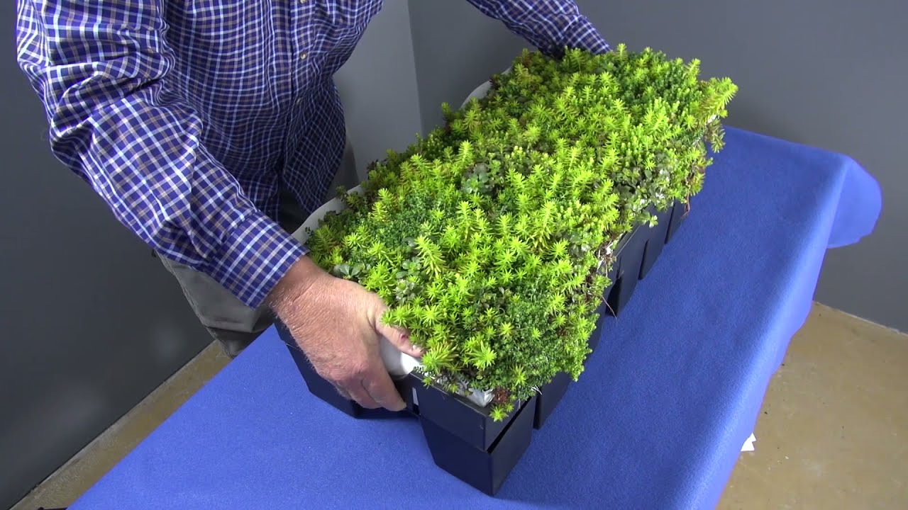 RoofBlue® RETAIN Introduction