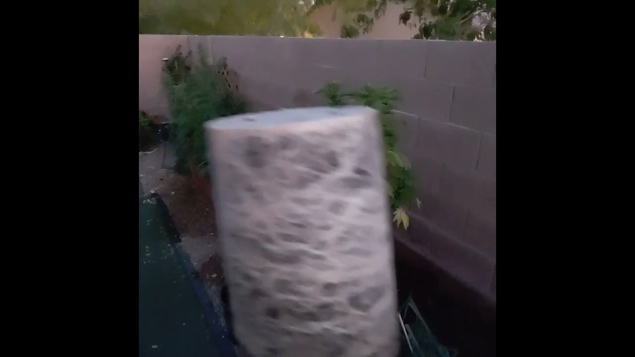 root porn !!!! one of my medical gardens from a few years ago going outside!!!