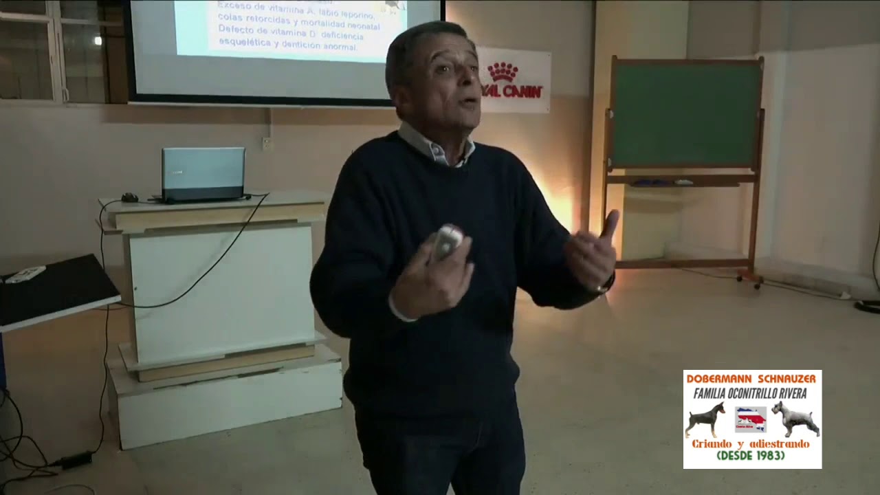 Enfermedades genéticas y congénitas en los perros