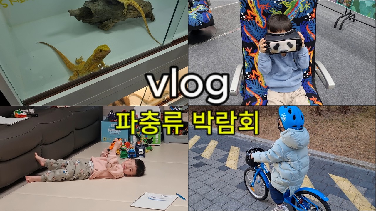 5분에 5천원이요? 파충류 박람회 체험 / 등원 도우미 시작 / 형제 브이로그