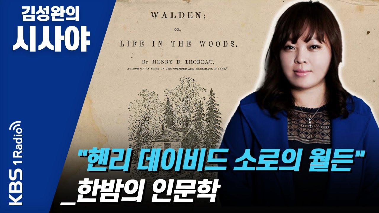 [김성완의 시사야] 
