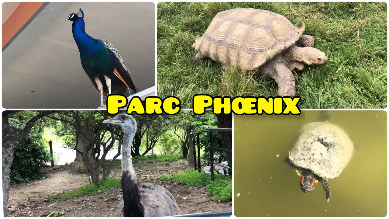 Animals Park Phoenix in Nice 🇫🇷 France